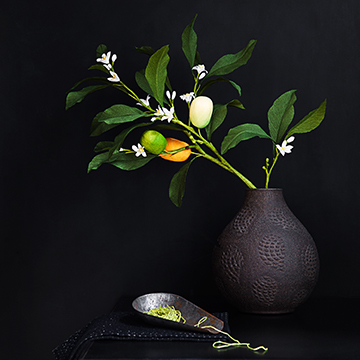 still life photographers