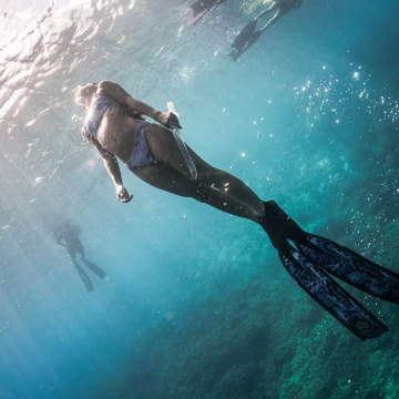 underwater photographers