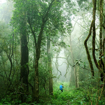 landscape photographers