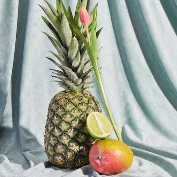 still life photographers