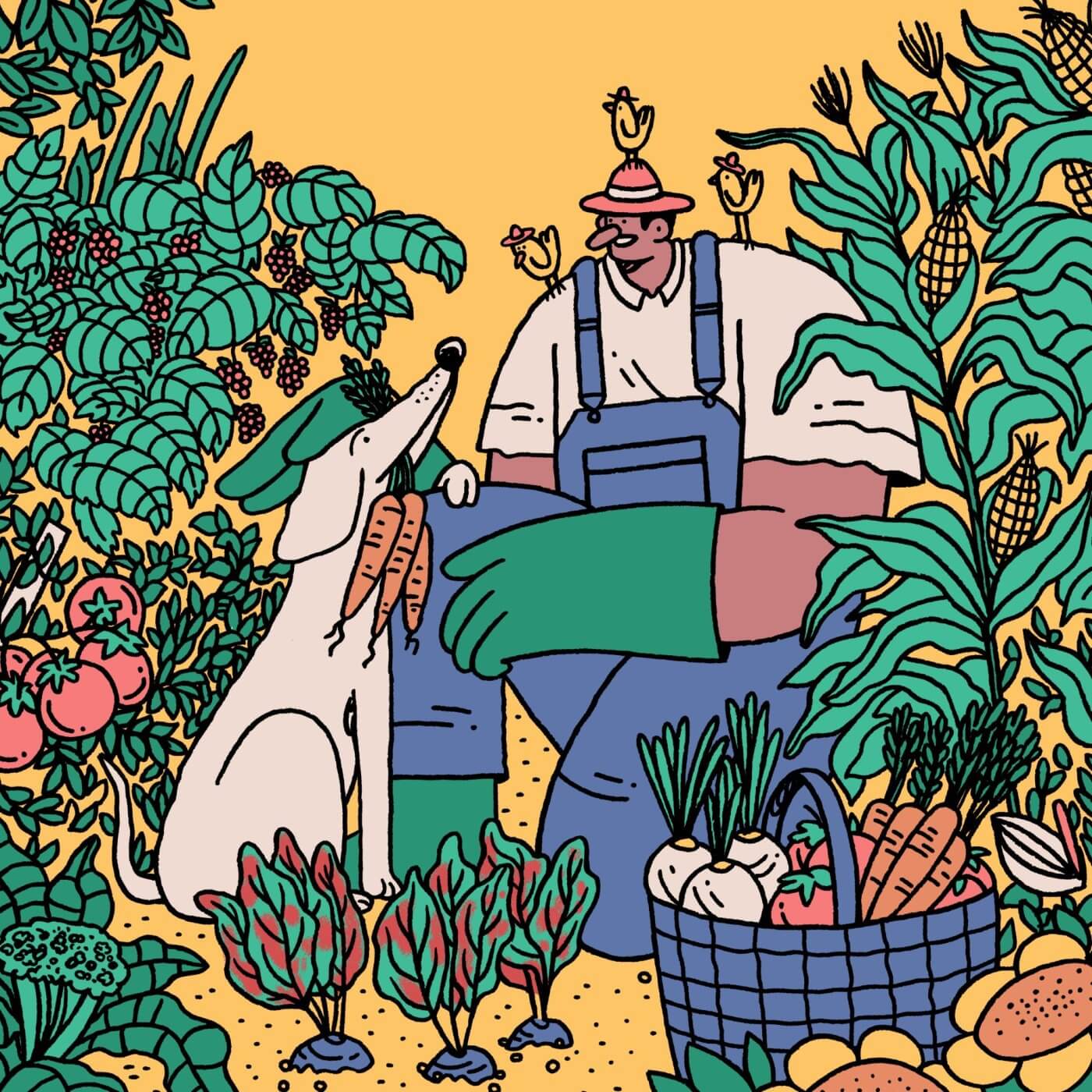 illustrators