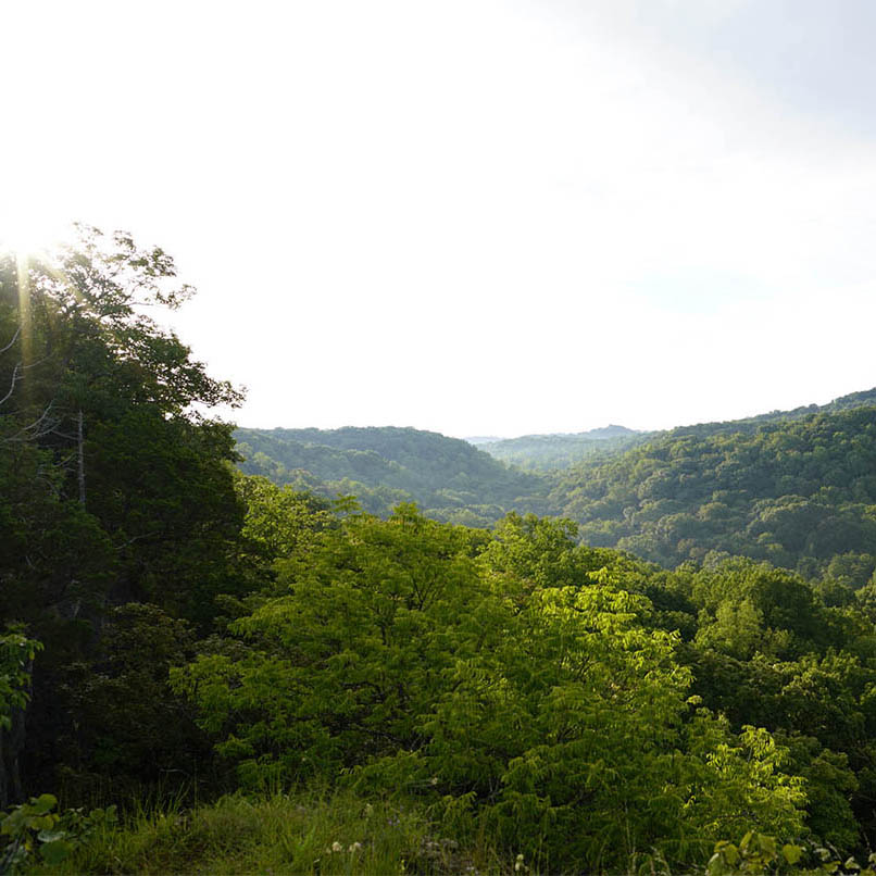 landscape photographers