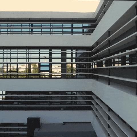 directors/ corporate