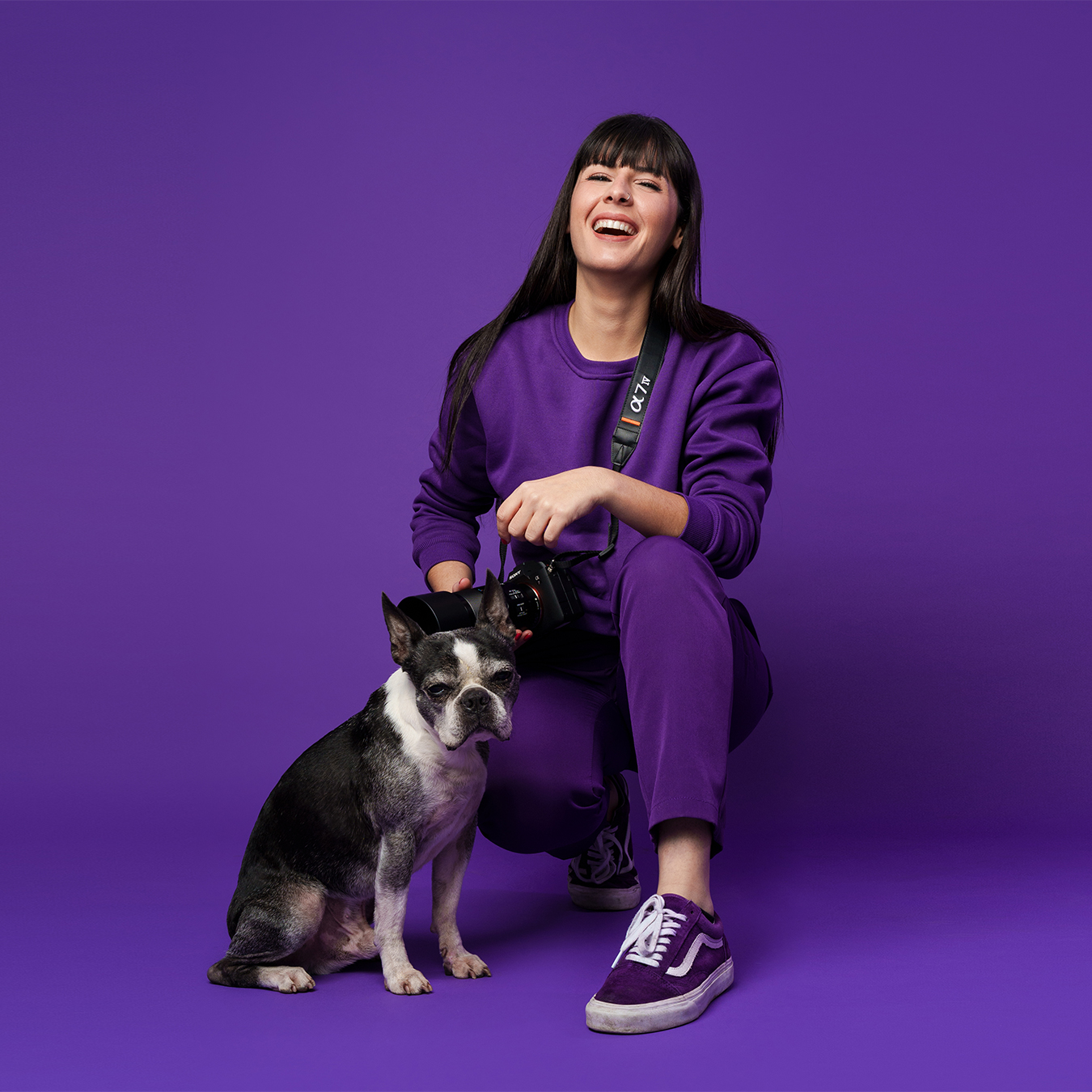 Le Terrier Studio