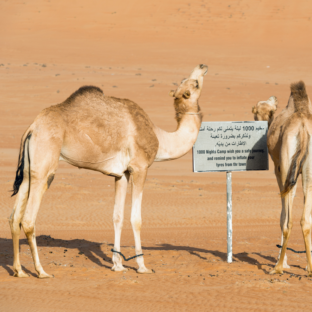 travel photographers
