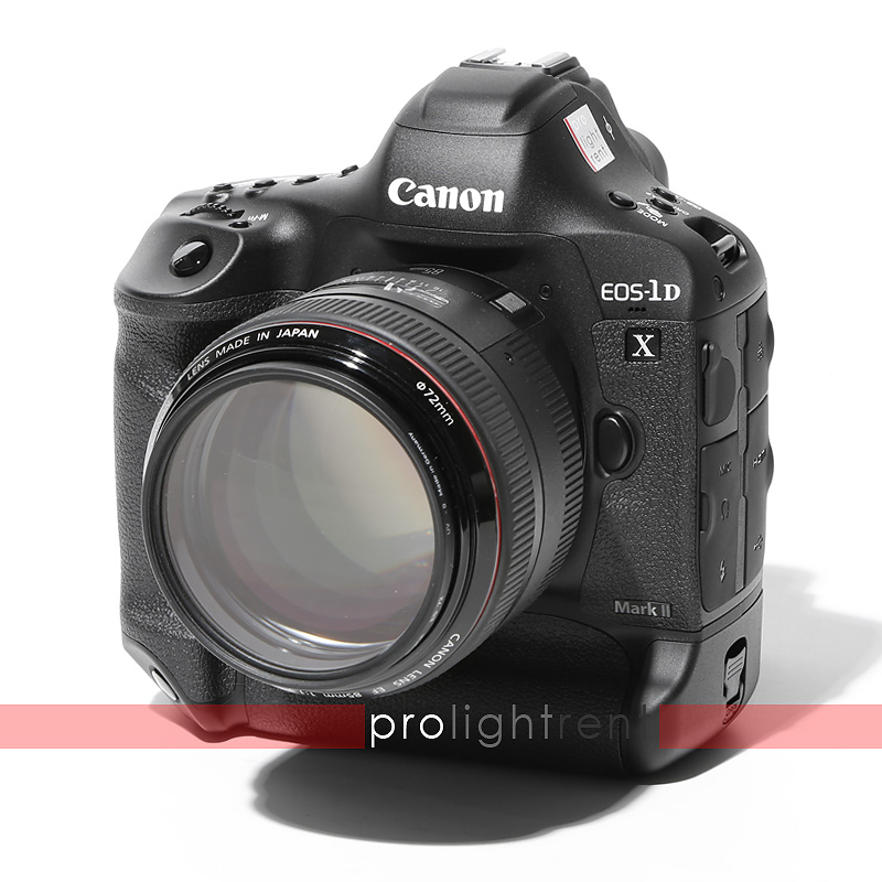 Equipment Rental