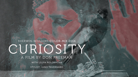 Don Freeman