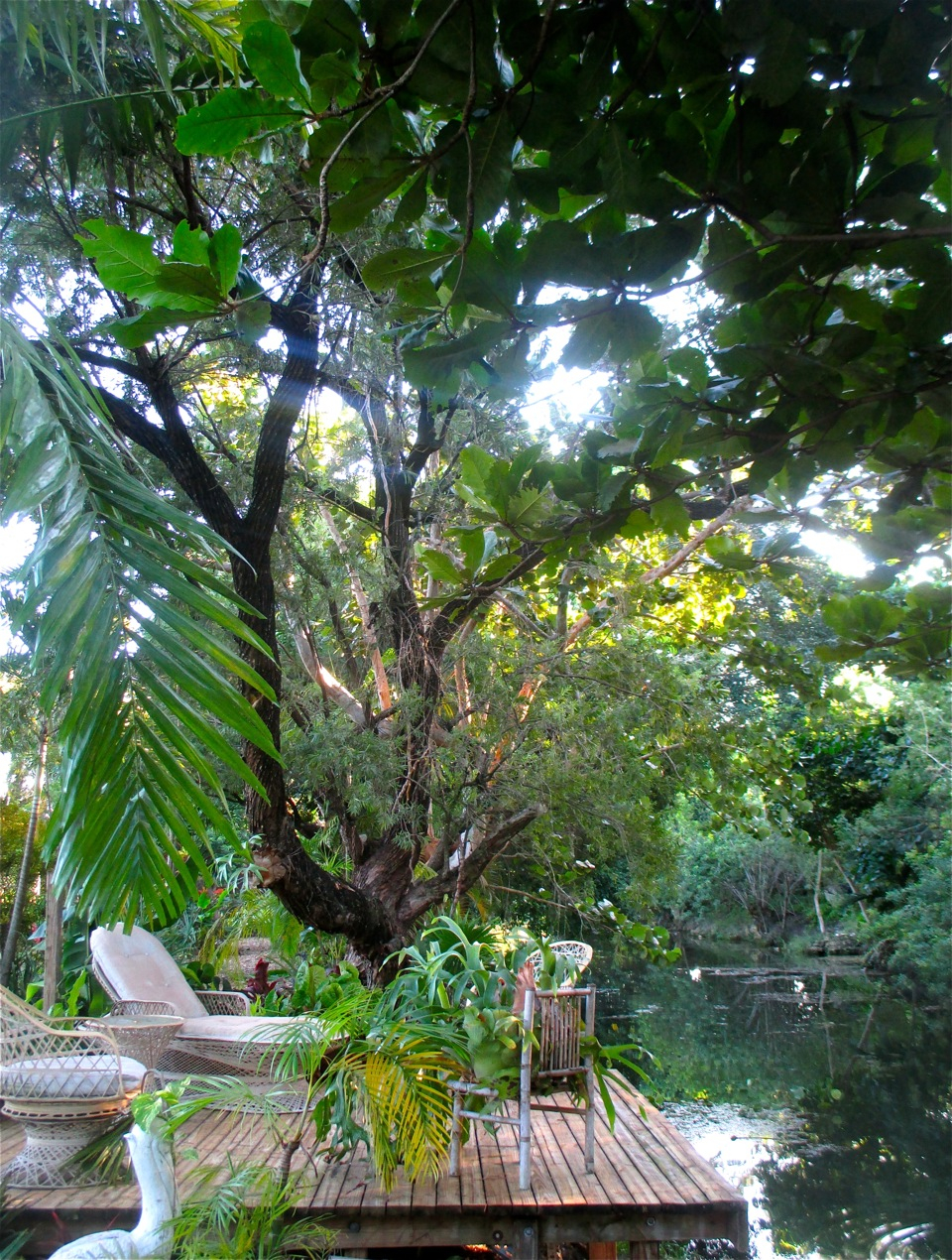 Camp Magic City Farm
