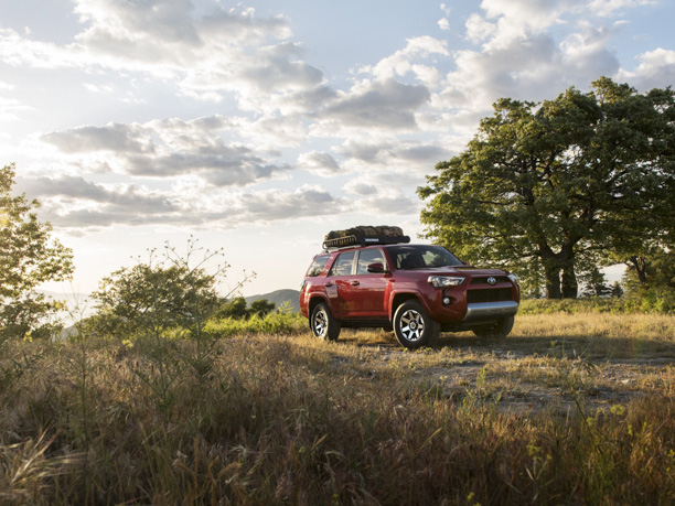 CARS & LANDSCAPE PHOTOGRAPHY + MOTION