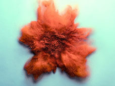 STILL LIFE PHOTOGRAPHY