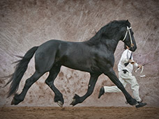 PEOPLE & LIFESTYLE PHOTOGRAPHY