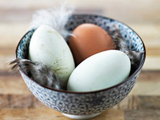 FOOD & DRINK PHOTOGRAPHY + MOTION
