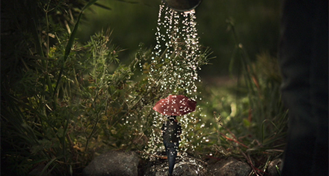 Jim Erickson Photography