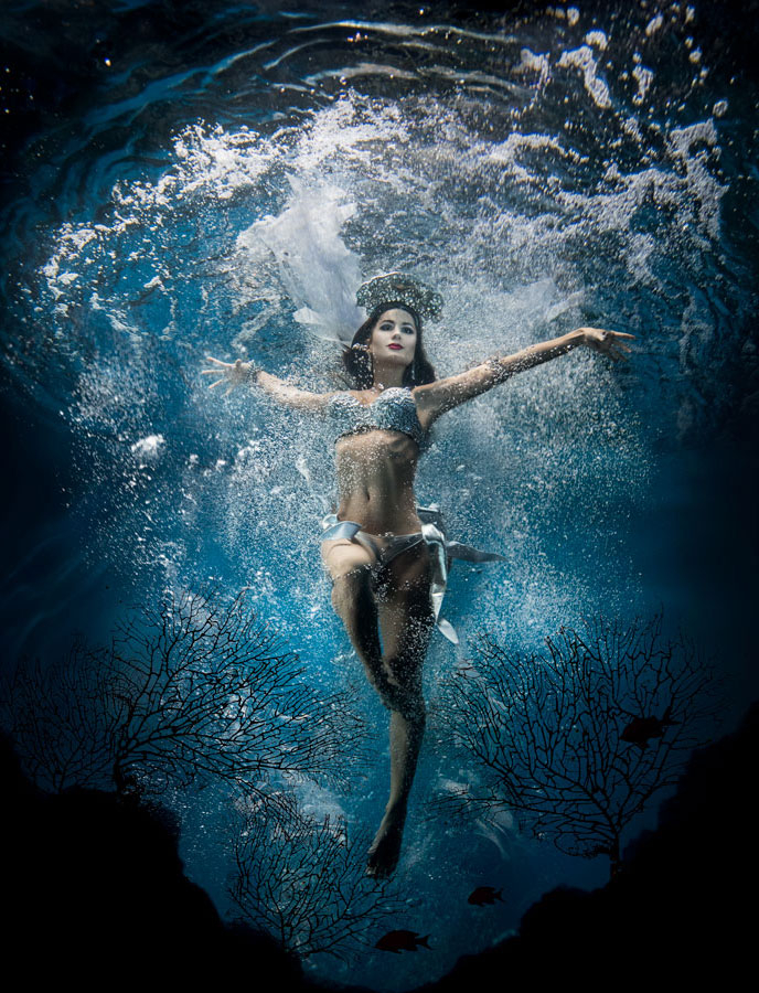 Jenn Bischof