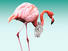 GLOBAL ADVERTISING PHOTOGRAPHY + MOTION