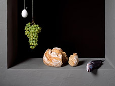 STILL LIFE PHOTOGRAPHY