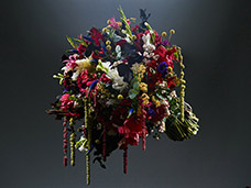 STILL LIFE PHOTOGRAPHY