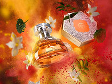 STILL LIFE PHOTOGRAPHY