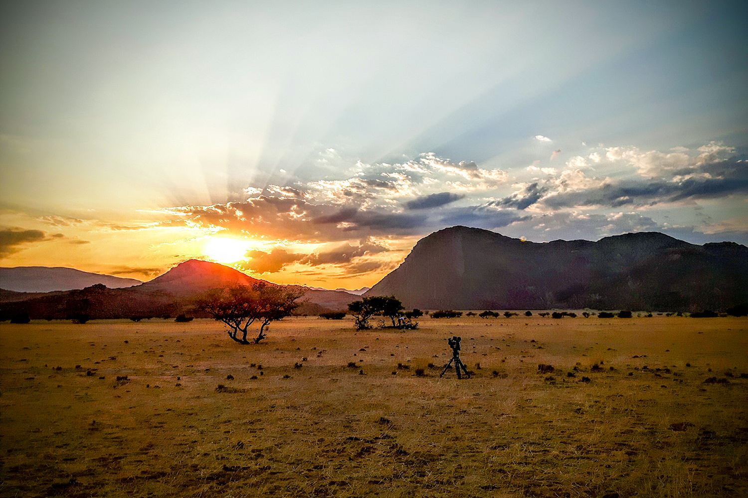 Namib Film