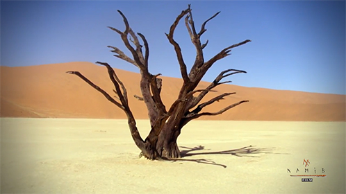 Namib Film