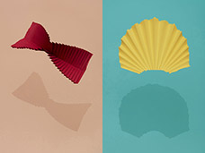 STILL LIFE PHOTOGRAPHY