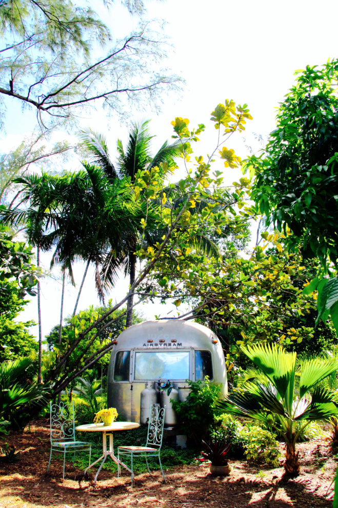Camp Magic City Farm