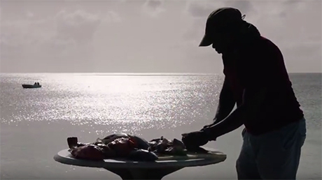 Cindi Blair Productions / Turks & Caicos Productions
