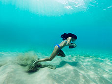 UNDERWATER PHOTOGRAPHY + MOTION