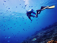 UNDERWATER PHOTOGRAPHY + MOTION