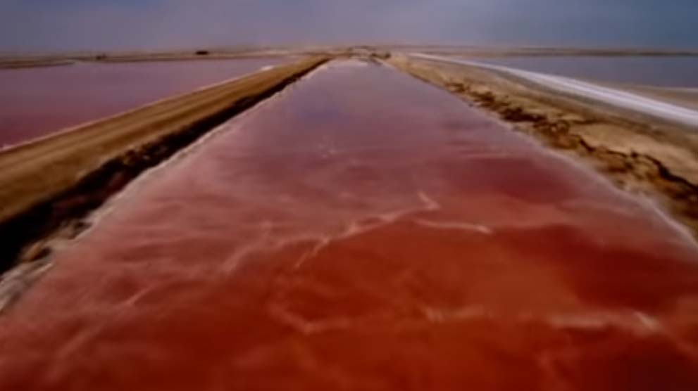 Namib Film