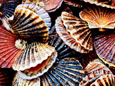 FOOD & DRINK PHOTOGRAPHY & MOTION