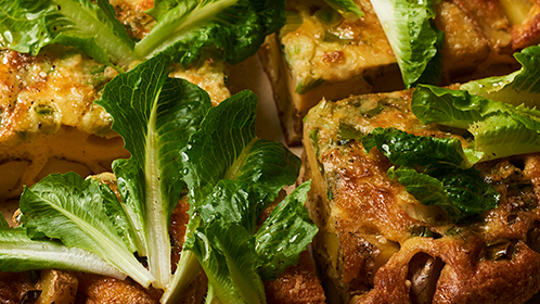 food und text studios