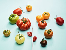 FOOD & DRINK PHOTOGRAPHY & MOTION
