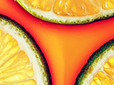 STILL LIFE PHOTOGRAPHY + MOTION