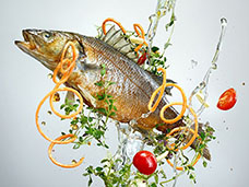 FOOD & DRINK PHOTOGRAPHY & MOTION