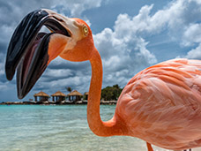 TRAVEL & DOCUMENTARY PHOTOGRAPHY