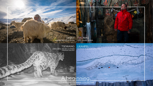 Faraway Collective