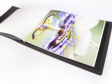 SERVICES FOR PHOTO & FILM