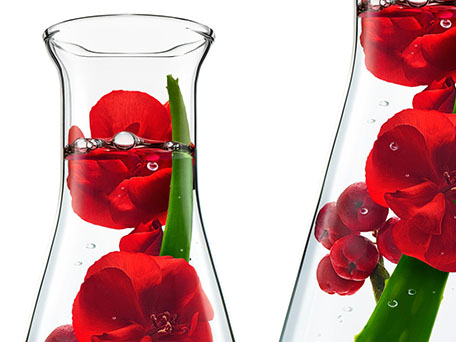 STILL LIFE PHOTOGRAPHY