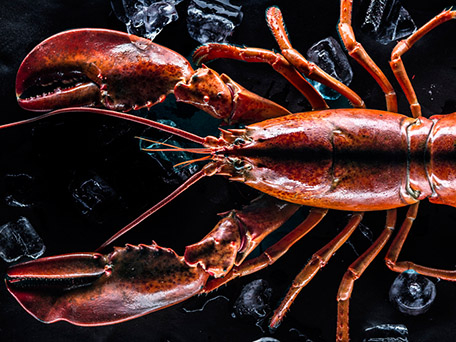 FOOD & DRINK PHOTOGRAPHY & MOTION