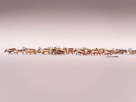 TRAVEL & DOCUMENTARY PHOTOGRAPHY
