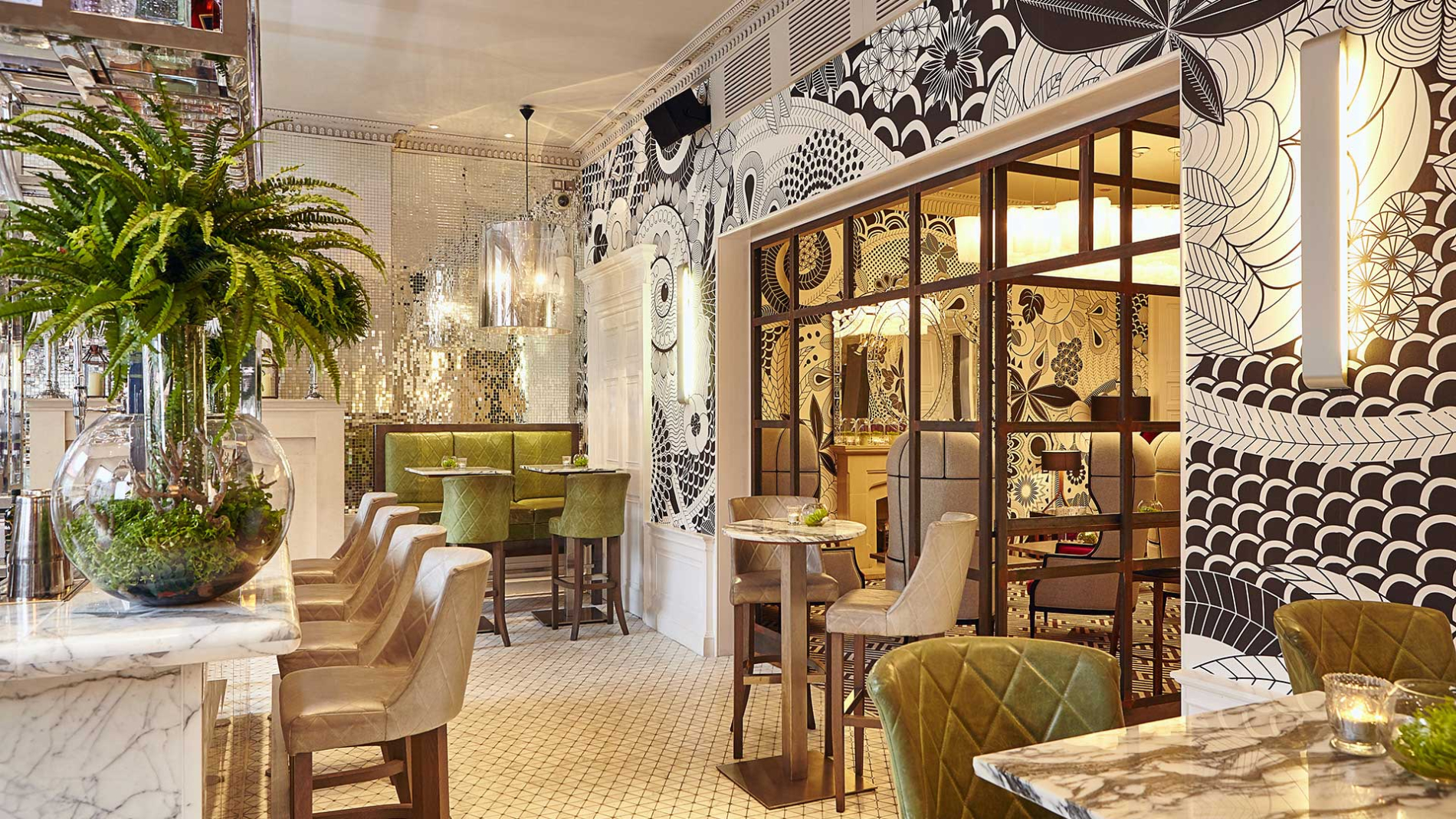 Tigerlily Edinburgh