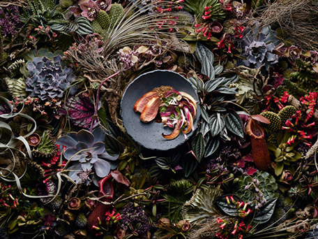 FOOD PHOTO & FILM PRODUCTION AND STYLING