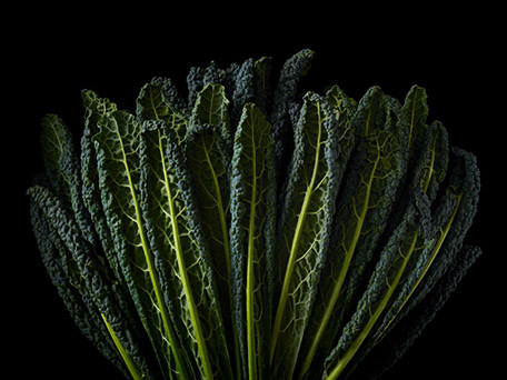 FOOD & DRINK PHOTOGRAPHY & MOTION