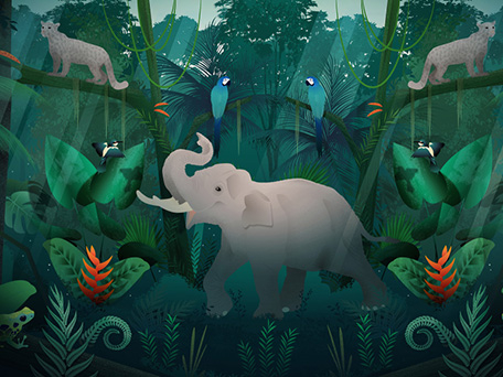 ILLUSTRATION & ANIMATION