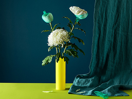 STILL LIFE PHOTOGRAPHY & MOTION