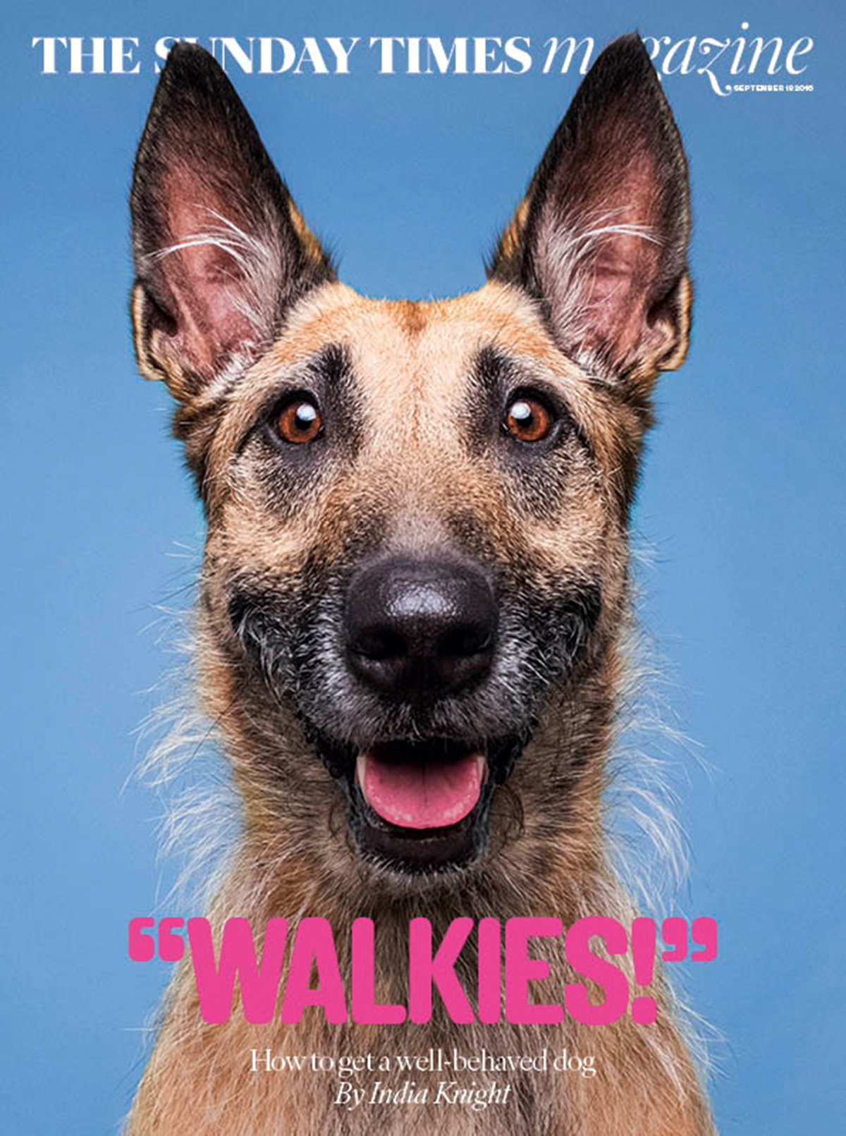 Elke Vogelsang