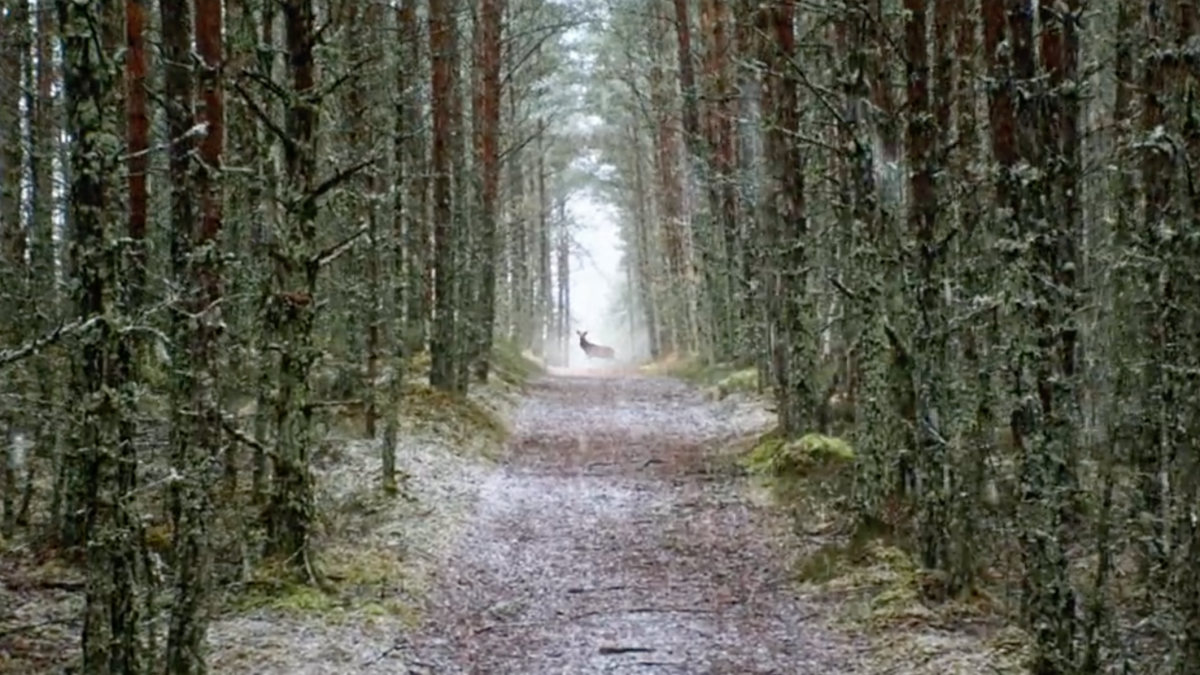 Filming Scotland