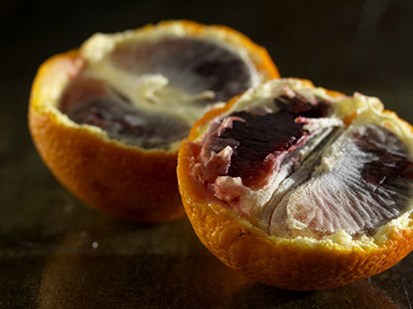 FOOD & DRINK PHOTOGRAPHY & MOTION