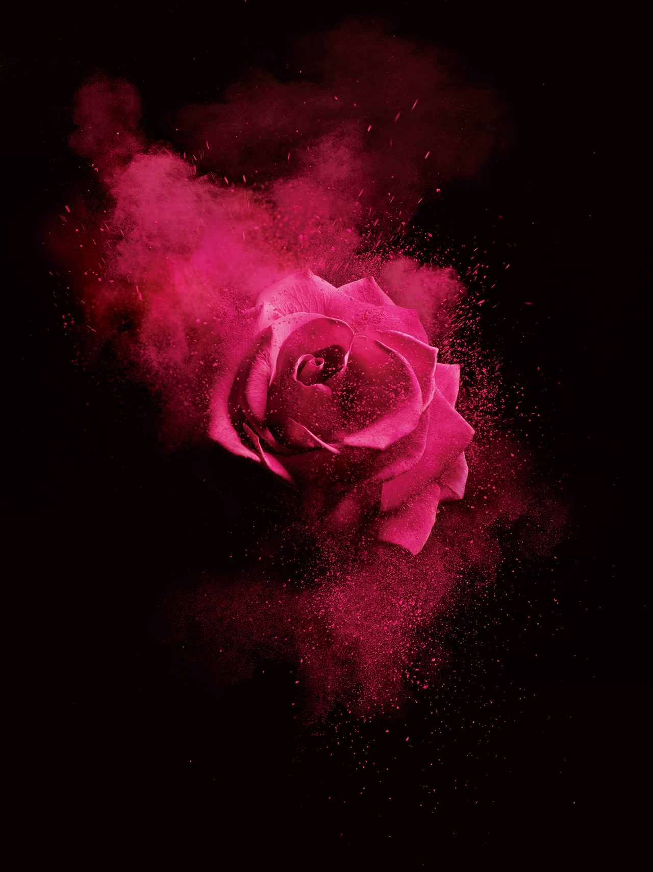 CL. LO PHOTOGRAPHY
